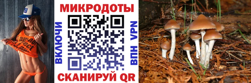 гидра рабочий сайт  Макаров  Псилоцибиновые грибы MAGIC MUSHROOMS 